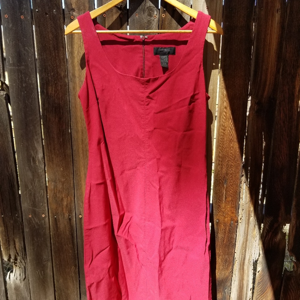 Express stretch dress